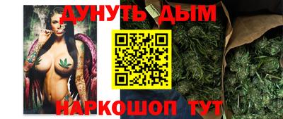ALPHA PVP Гай