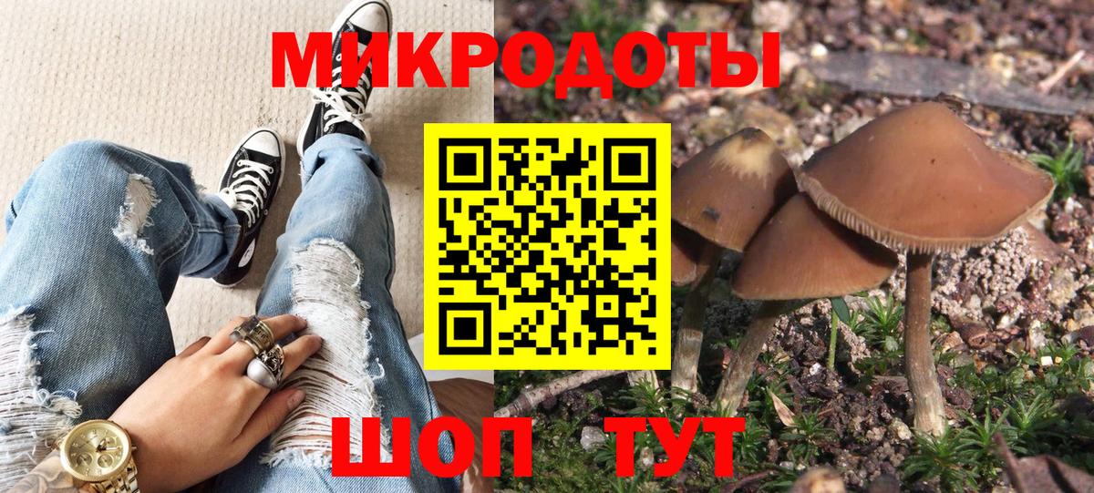 Галлюциногенные грибы GOLDEN TEACHER  Вход с VPN  Темрюк 